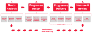 Management-Development-Process